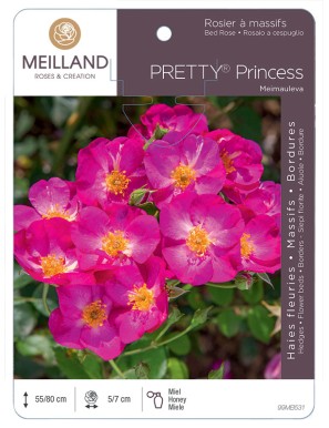 PRETTY® Princess Meimauleva Rosier à massifs