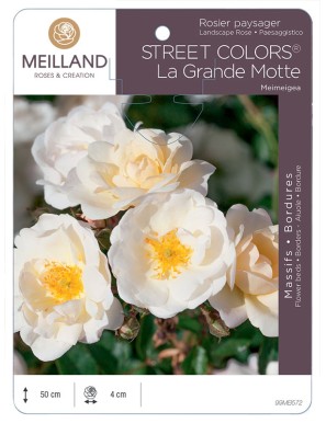La Grande Motte by MEILLANDECOR® Meimeigea Rosier paysager
