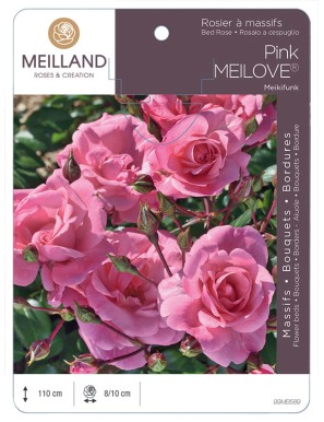 Pink MEILOVE® Meikifunk Rosier à massifs