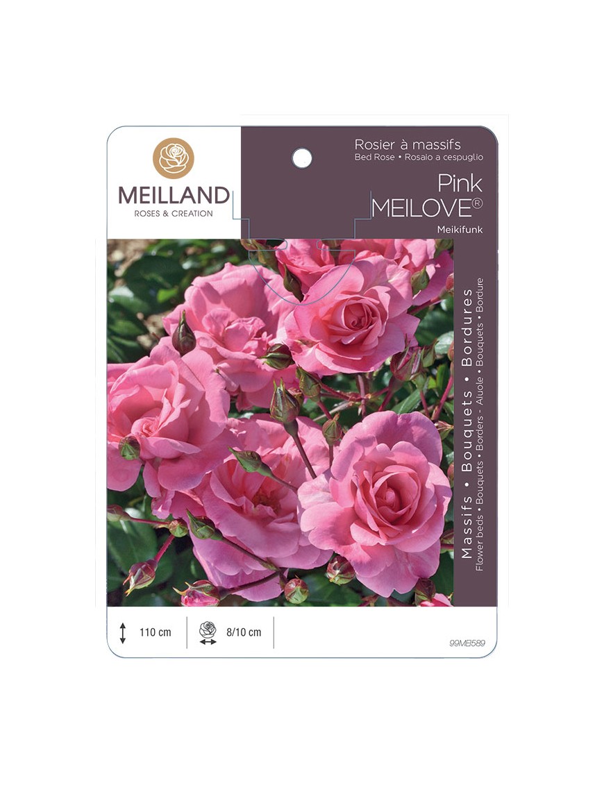 Pink MEILOVE® Meikifunk Rosier à massifs