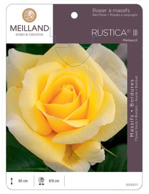 RUSTICA® III Meilaocil Rosier à massifs