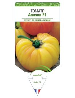 TOMATE ANASUN F1