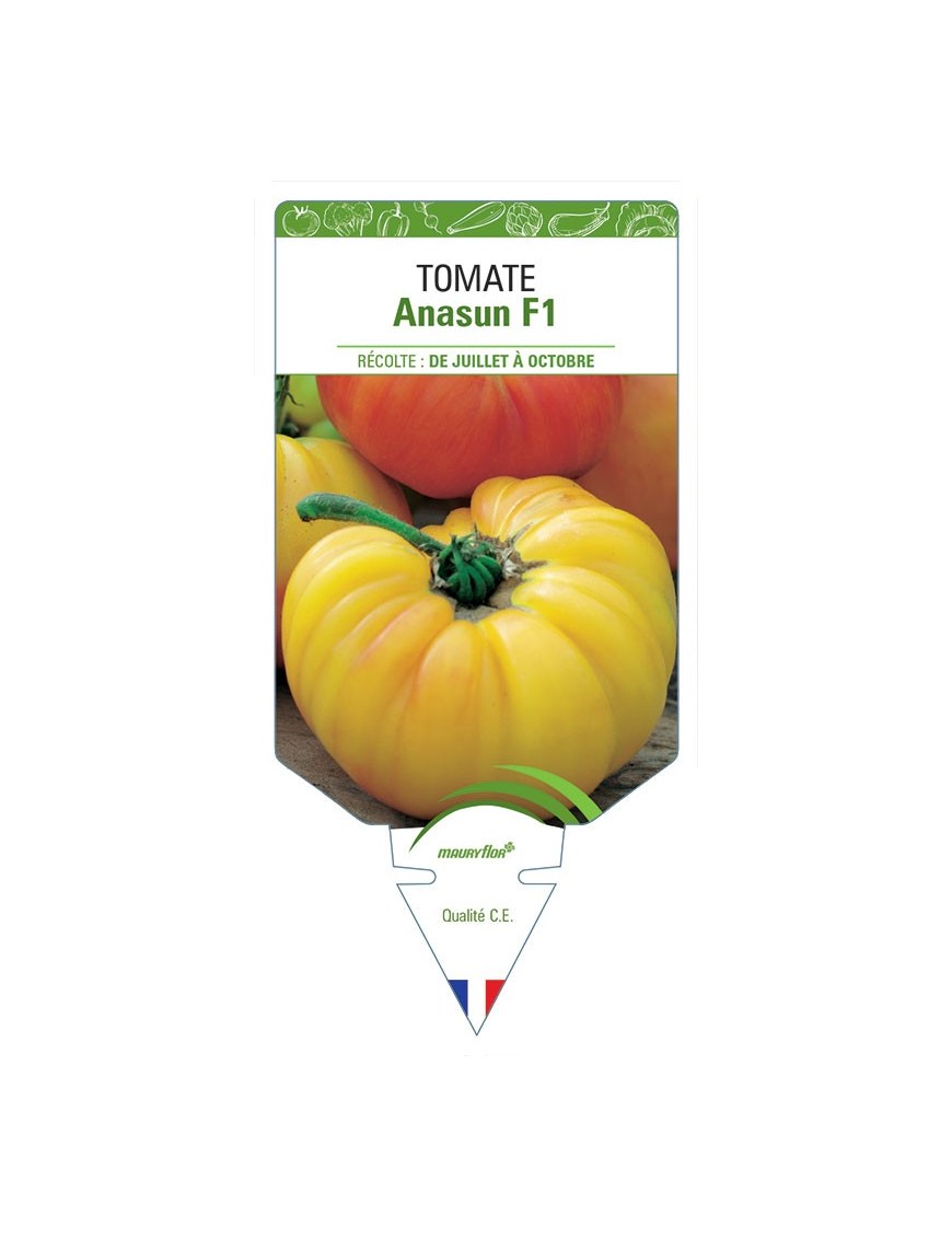 TOMATE ANASUN F1
