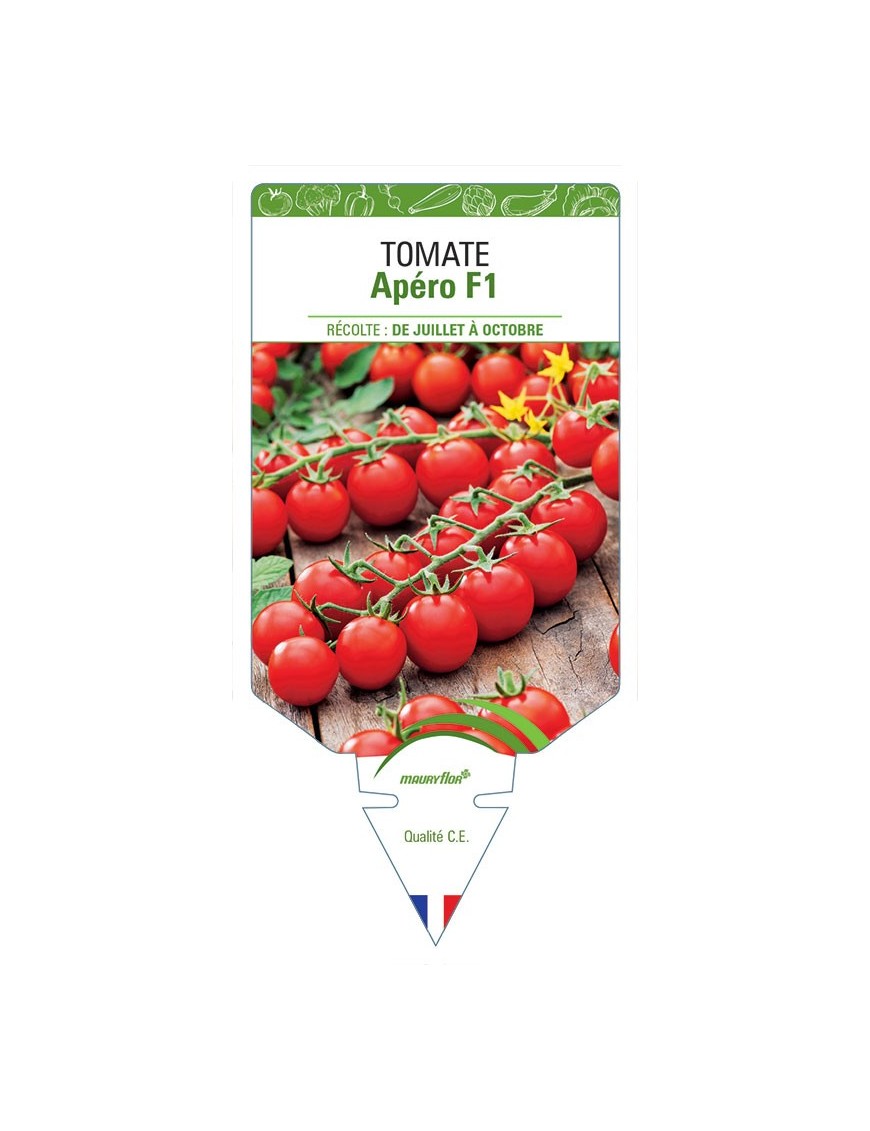 TOMATE APÉRO F1