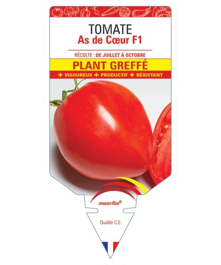 TOMATE AS DE CŒUR F1 PLANT GREFFÉ