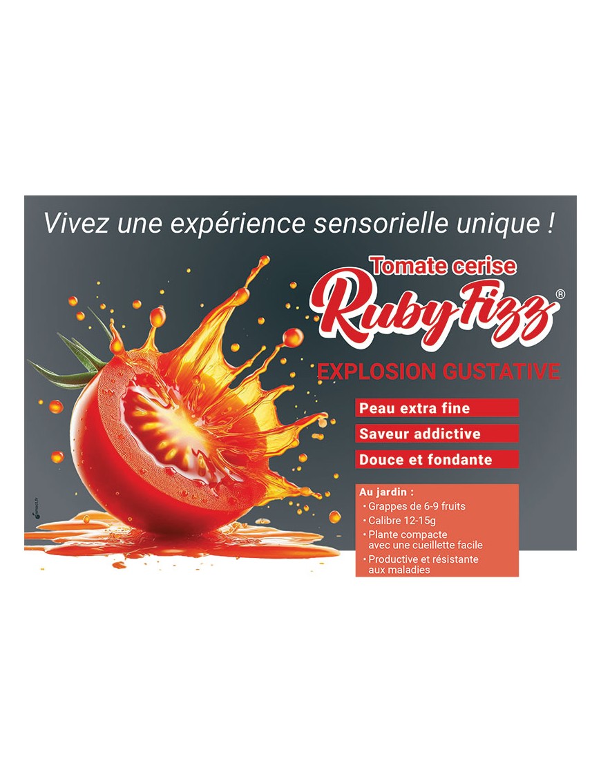 Tomate Ruby Fizz®