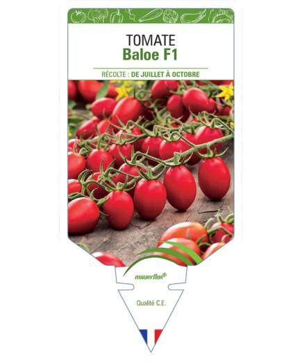TOMATE BALOE F1
