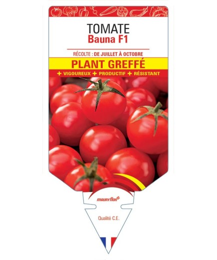 TOMATE BAUNA F1 PLANT GREFFÉ