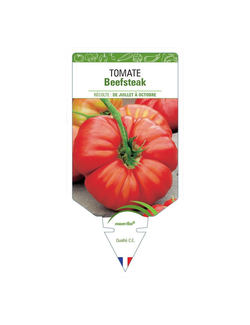 TOMATE BEEFSTEAK