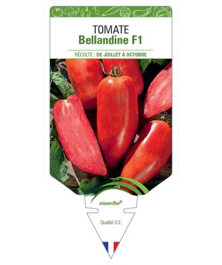 TOMATE BELLANDINE F1