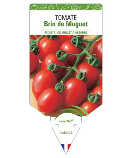 TOMATE BRIN DE MUGUET