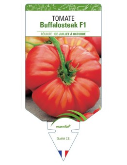 TOMATE BUFFALOSTEAK F1