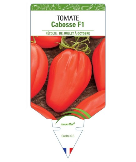 TOMATE CABOSSE F1