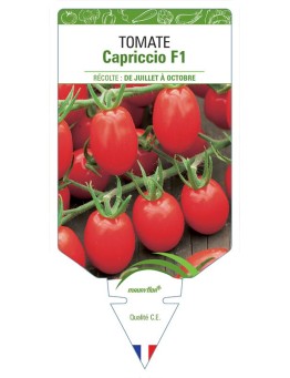 TOMATE CAPRICCIO F1