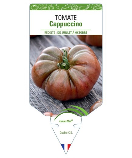 TOMATE CAPPUCCINO