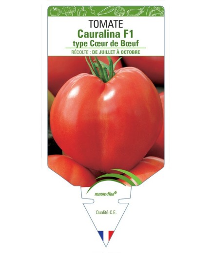 TOMATE CAURALINA F1