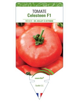 TOMATE CELESTEEN F1