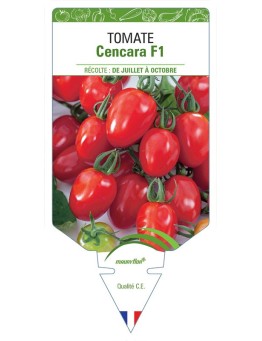 TOMATE CENCARA F1