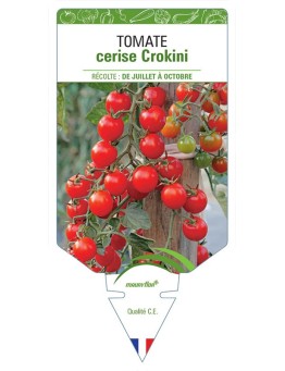 TOMATE CERISE CROKINI