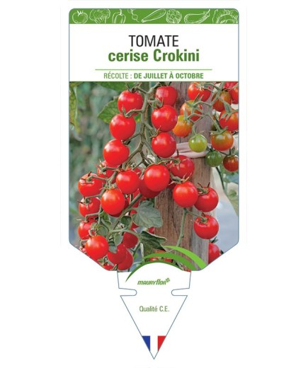 TOMATE CERISE CROKINI