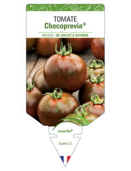 TOMATE CHOCOPREVIA®