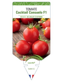 TOMATE COCKTAIL CONSUELO F1