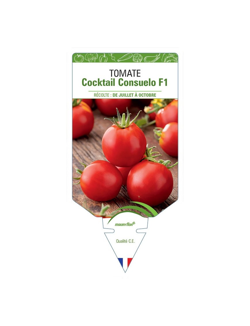 TOMATE COCKTAIL CONSUELO F1
