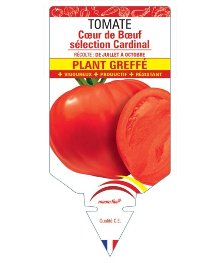 TOMATE CŒUR DE BŒUF SÉLECTION CARDINAL PLANT GREFFÉ