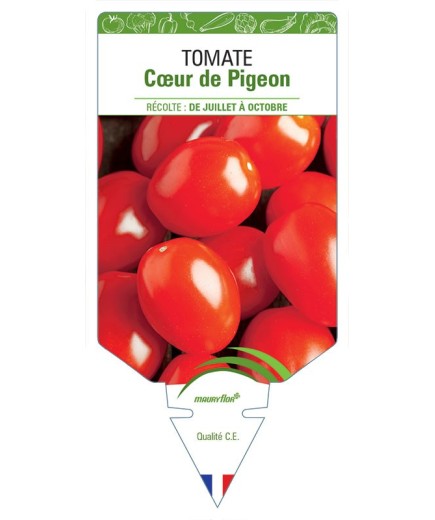 TOMATE CŒUR DE PIGEON