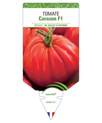 TOMATE CORAZON F1