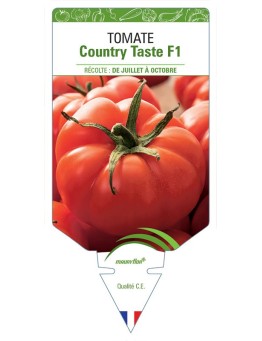 TOMATE COUNTRY TASTE F1