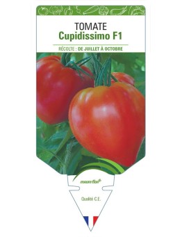 TOMATE CUPIDISSIMO F1