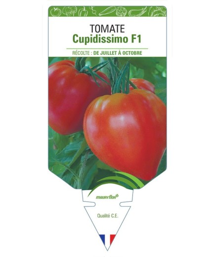 TOMATE CUPIDISSIMO F1