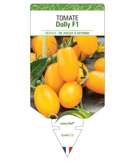 TOMATE DOLLY F1