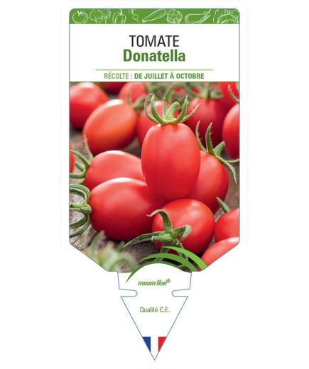 TOMATE DONATELLA