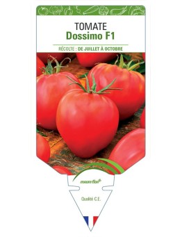 TOMATE DOSSIMO F1
