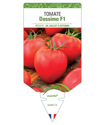 TOMATE DOSSIMO F1