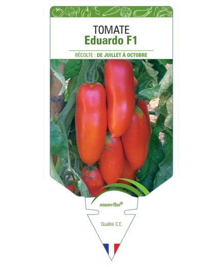 TOMATE EDUARDO F1