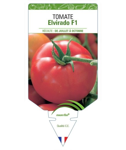 TOMATE ELVIRADO F1