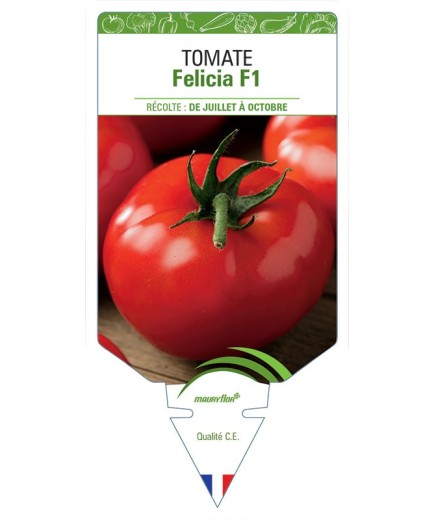 TOMATE FELICIA F1