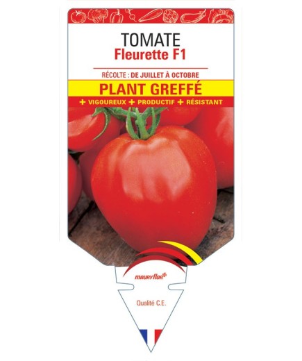 TOMATE FLEURETTE F1 PLANT GREFFÉ