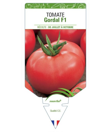 TOMATE GORDAL F1