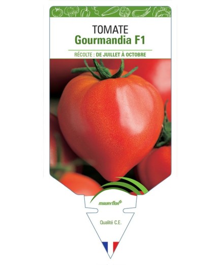 TOMATE GOURMANDIA F1