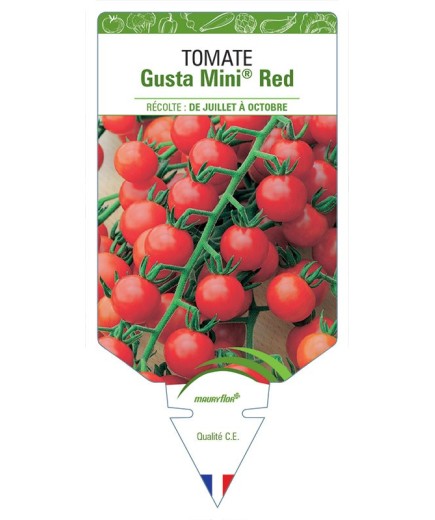 TOMATE GUSTA MINI® RED