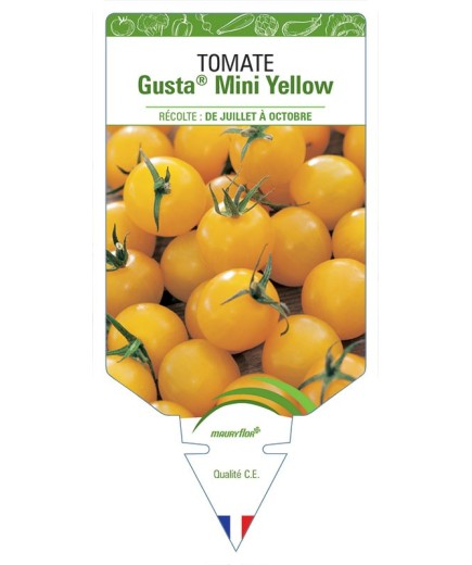 TOMATE GUSTA MINI® YELLOW