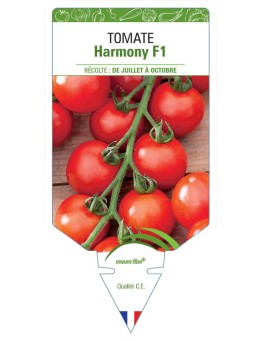 TOMATE HARMONY F1