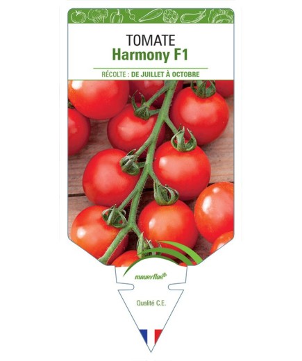 TOMATE HARMONY F1