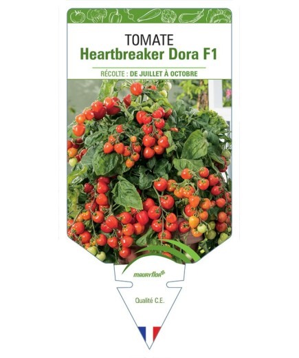 TOMATE HEARTBREAKER DORA F1