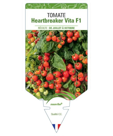 TOMATE HEARTBREAKER VITA F1