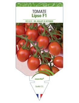 TOMATE LIPSO F1